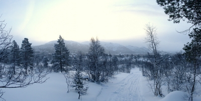 Fjellparken løypa mot Hartevatn